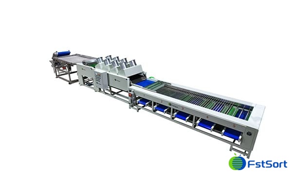 jujube sorter1.jpg jujube sorter1.jpg